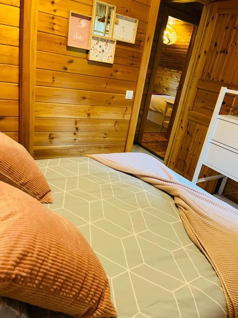 Espectacular Apartamento De Madera Frente Al Rio Ter - Camprodon Eksteriør bilde
